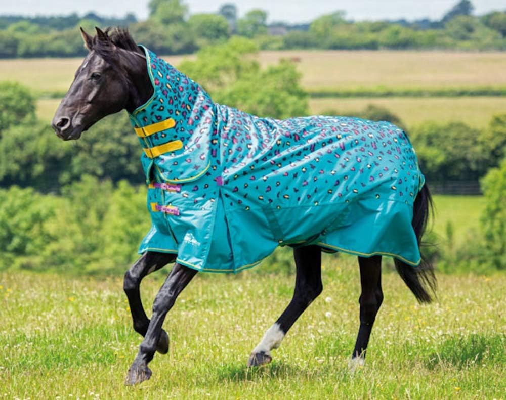 Shires Highlander 100g Horse/Pony Turnout Combo Rug Teal Leopard Print