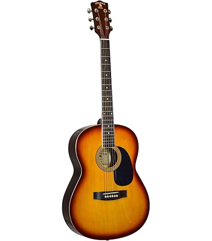 Amazon.com: INDIANA 6 String Acoustic Guitar, Right, Cherry