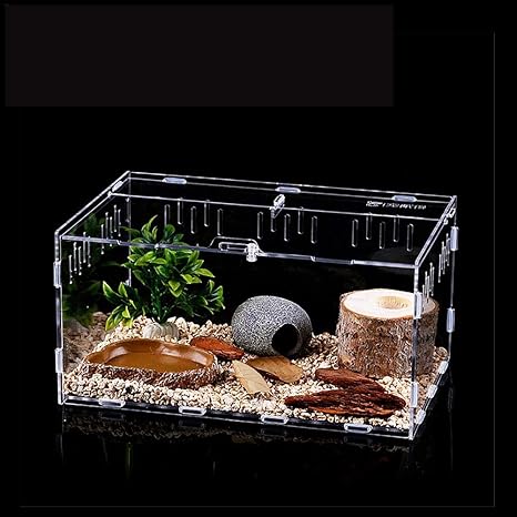 Amazon Co Jp 爬虫類ケージ 飼育ケース 飼育容器 爬虫類 小動物用 カメ亀 タンク 爬虫類飼育箱 トカゲ 飼育ボックス Viugreum 昆虫飼育ケース アクリル クモ サソリ ヤモリ ヘビ カメ クワガタ 飼育ケージ クリア カゲ クモ カエル亀 蛇 蛙 昆虫など適用 ホーム