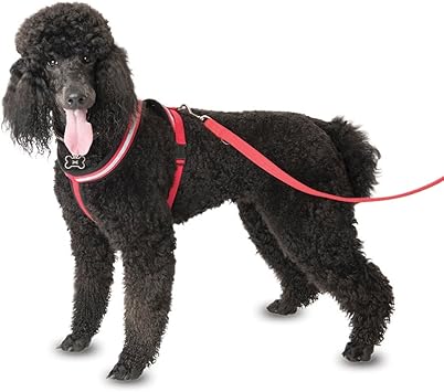 pets at home perfect fit harness