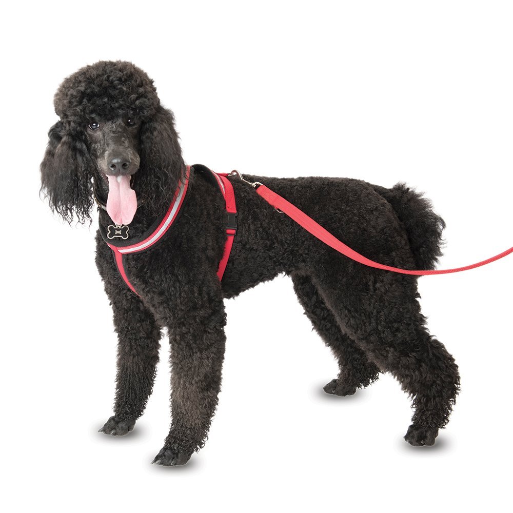 COMPANY OF ANIMALS Comfy Harness, Size XX Large, Lightweight, Fleece-Lined, Reflective & Adjustable Dog Harness, Great for Puppy Walks, For Small, Medium & Large Dogs, Red