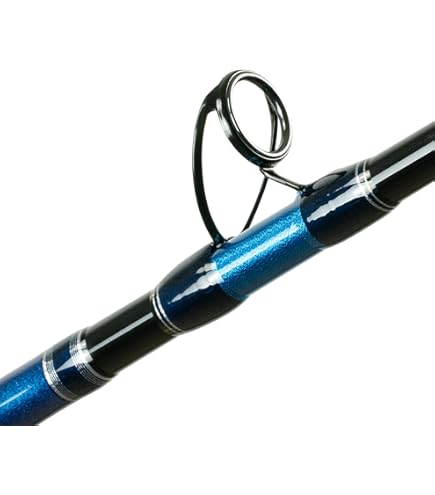 Amazon.com : Shimano Tyrnos 30 2 Speed Offshore Seafishing