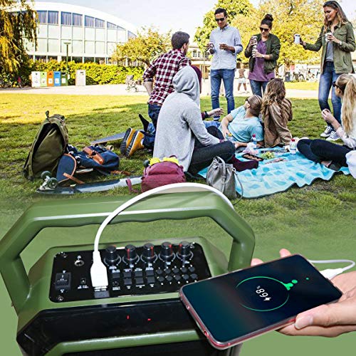 Wireless Karaoke Machine System with UHF Handheld Microphone, 30 W Bluetooth Speaker Pa System Voice Amplifier for Adults Kids, Support FM Radio/AUX Input/USB/TF Card/MP3 Player