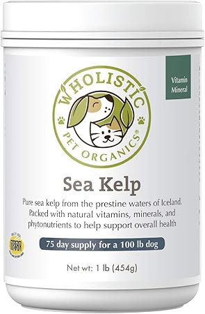 best kelp supplement for dogs