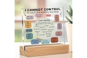 Mental Health Decor Therapist Office Decor for Therapy School Counselor I Can Control Acrylic Sign Christmas Birthday Gifts T
