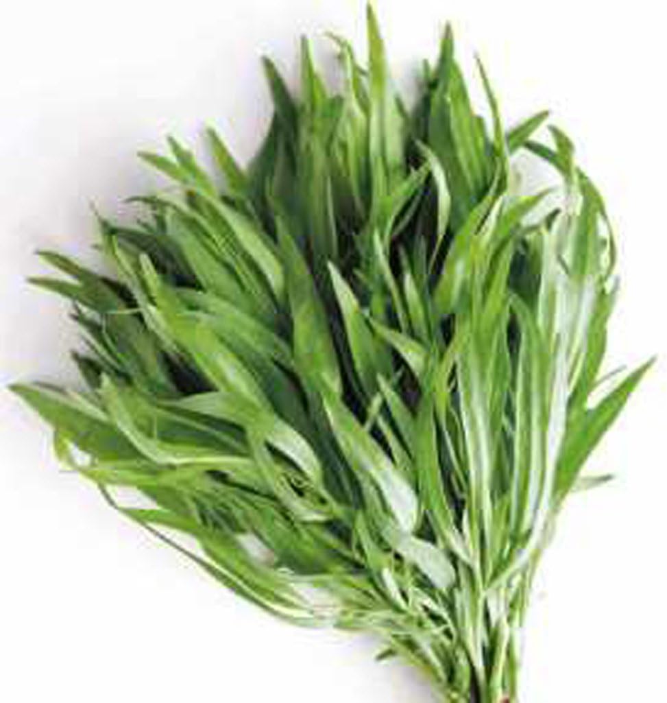 How To Use Tarragon Herb