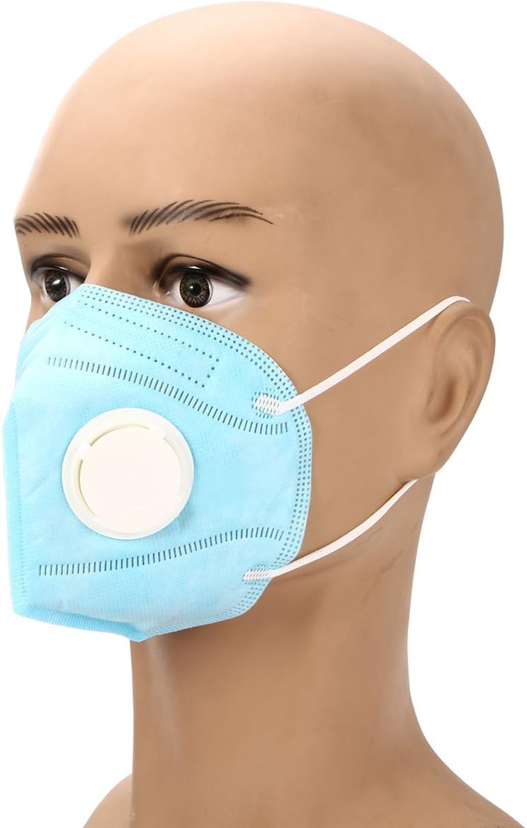 WCHAOEN 2pcs Disposable Work Dust Masks Valved FFP3 Respirator Face Safety Breathing Equip Accessories Tool (Color : Blue)