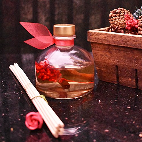 LOVSPA Holiday Spiced Red Currant & Woods Reed Diffuser Oil Gift Set | Red Currants, Pine, Cranberries, Cedar Wood & Juniper | Perfect Seasonal Home Fragrance! Made in The USA