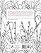Haiti: A Coloring Book for Grown Ups