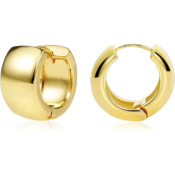 Amazon.com: ALEXCRAFT Small Chunky Gold Hoop Earrings for Women