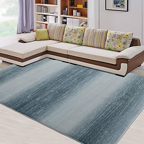 Decorative rugs,Xiandai carpe Living room carpet Sofa Tea table Rectangle bedside Room Tatami mats Wall-to-wall Carpet-C 31x47inch(78x120cm)