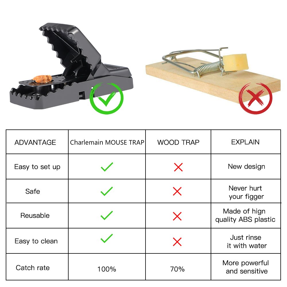 Piège à Souris, Tapette à Rat Réutilisable Souricière avec Ressort Puissant et Sensible Contrôle des Rats Efficace (Lot de 6)