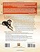 Turning Fierce Dogs Friendly: Using Constructional Aggression Treatment to Rehabilitate Aggressive and Reactive Dogs (CompanionHouse Books)