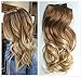 20 Inches Full Head Ombre Dip Dyed Loose Curls Wavy Curly Clip-in Hair Extensions 6pcs Pack (Col. Light brown to sandy blonde)