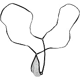 Afom Men's Sexy Slingshot Sheer Pouch T-Back Brief Thong (White)