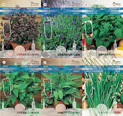 Seklos LT PERENIAL HERB Seed Collection - 6 in 1 Packet