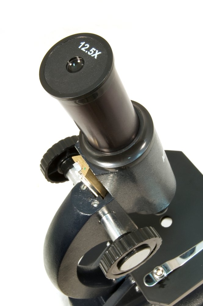 the Safest Illumination Method for Children Levenhuk 2S NG Microscope