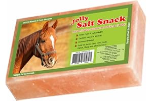 Horsemen's Pride 100% Himalayan Salt Brick, 4 Pounds
