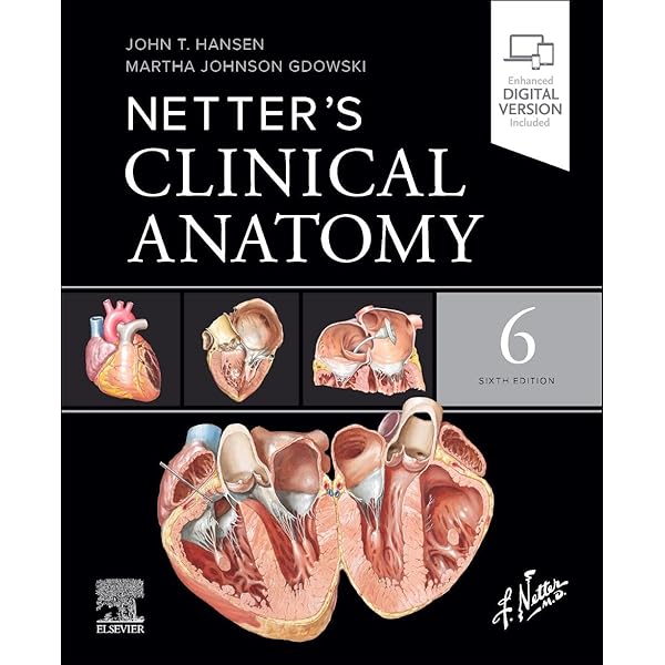 The Netter Collection of Medical Illustrations: Cardiovascular