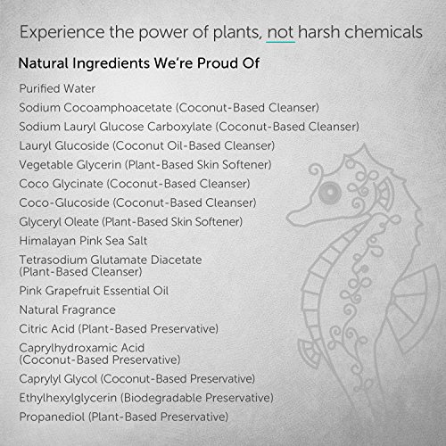 Puracy Natural Body Wash, SulfateFree Bath and Shower Gel, Citrus