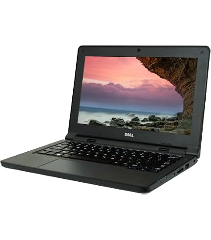 Amazon.com: Dell Latitude 3590 1366 X 768 15.6