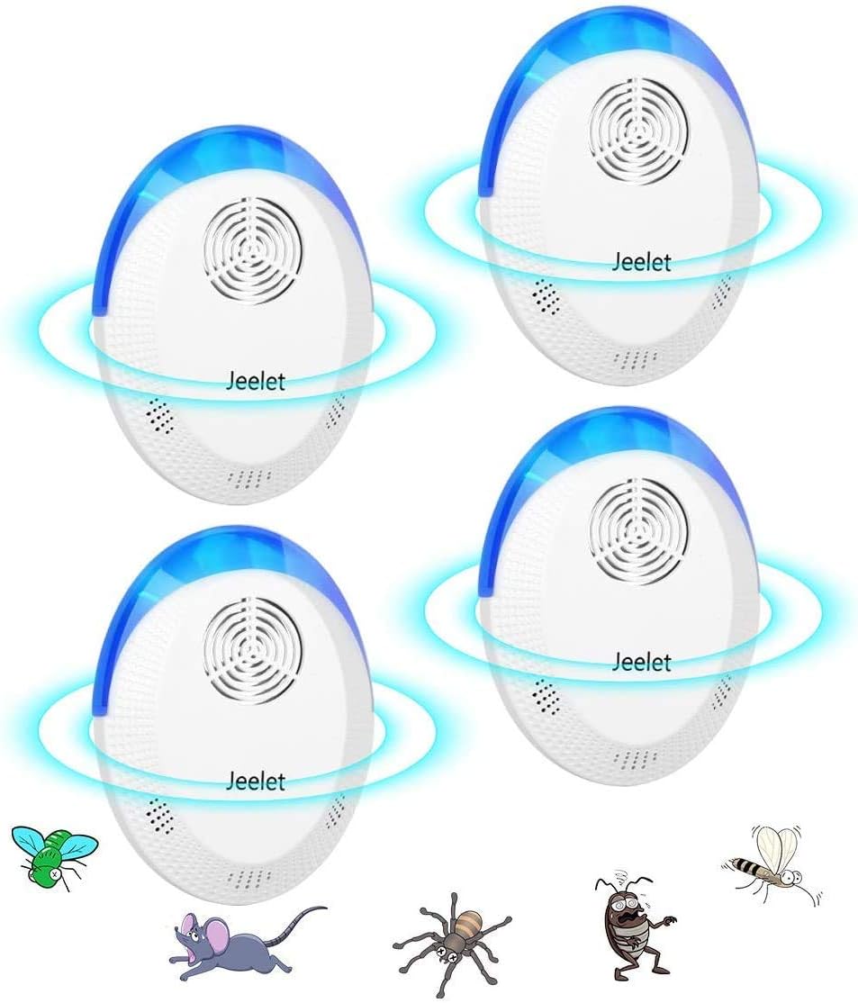 イギリス クモ いったいどこから 簡単な蜘蛛対策をご紹介 Tom夫婦の世界の窓 イギリス クモ いったいどこから 簡単な蜘蛛対策をご紹介 Tom夫婦の世界の窓