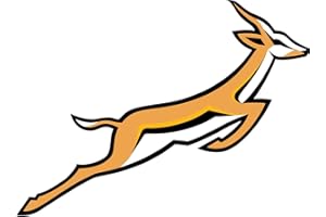 VALSTICK South Africa Rugby Car Bumper Decal Sticker 5" x 4"