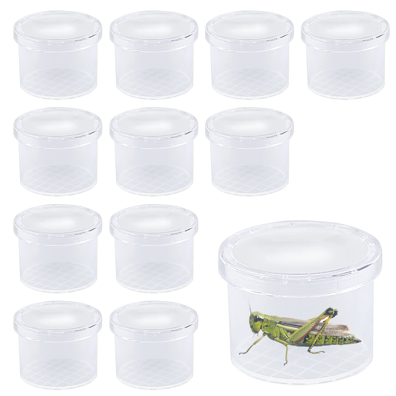 ZDNT 12Pcs Magnifying Insect Container Bug Viewer Insect Cage Bug Catcher Bug Magnifier Container Insect Magnifier Bug Catcher for kids Plastic Insect Boxes for Kids Science Nature Exploration