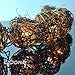 LIDORE Rattan Christmas String Lights, Mini Globe Wicker Lights for Patio, Wedding, Garden and Party, Brown Rattan and Green Cord, 7.92Ft Indoor/Outdoor