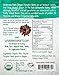 Wilderness Poets Oregon Pumpkin Seeds - Organic & Raw - Styrian Pumpkin Seeds - 8 oz (227 g) Pouch