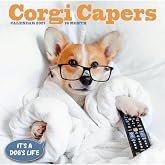 Carousel Calendars, Corgi Capers 2027 Wall Calendar