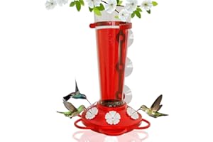 NATURE ANYWHERE Large Leak Proof Window Hummingbird Feeders for Outdoors Hanging - Wasp and Bee Proof - Window Hummingbird Feeder for Outdoor - Window Mount
