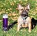 Eco-Tritan | Water Filtration Bottle | Purple | 25 oz 740 ml | 100 Percent BPA & BPS-Free | Includes 1 Urban Filter to Remove Lead, Cysts, PFA, Fluoride, Chromium 6 and More