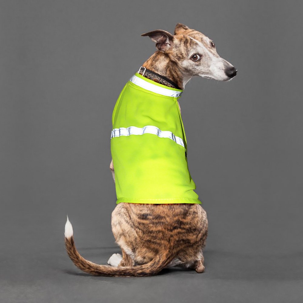 Clan_X Reflective Dog Vest, High-Visible Lightweight Dog Safety Cloth to Keep Dogs Safe, Adjustable Sizes to Fit Small, Medium, Large Breeds for Walking, Hunting, Jogging, Training. (M, Green)