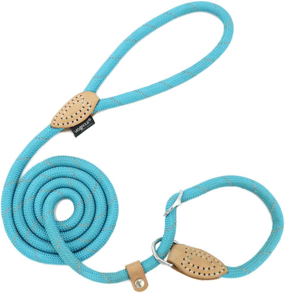Grand Line Slip Lead Dog Leash - No Pull Training Dog Lead with 5ft Reflective Rope, Durable & Collar-Free for Small, Medium, Large Dogs and Puppies (Blue,M)
