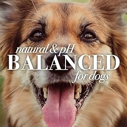 Burt's Bees for Pets Tear Free Puppy Shampoo and