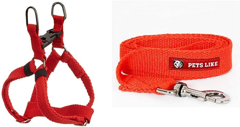 Pets Like Spun Regular Harness and Leash, Red, Small