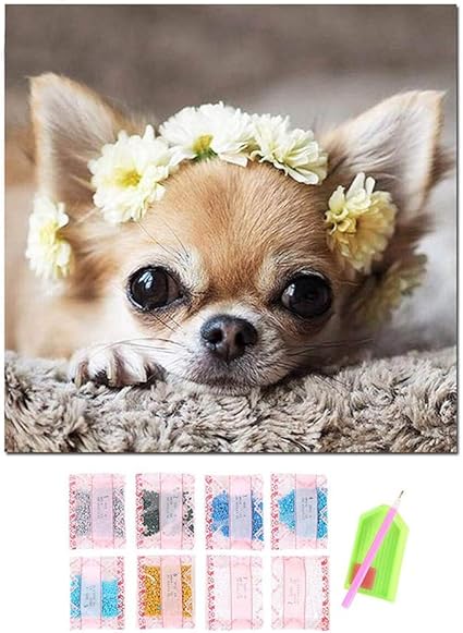 Toogoo Plein Carre 5d Diy Diamond Peinture Mignon Chien Diamant Broderie Chihuahua Point De Croix Strass Diamant Peinture Amazon Fr Cuisine Maison