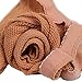 Cpdance Women's Latin Dance Tan Brown Nude Fishnet Tight Stockings (L)