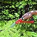 The Gardener's Friend Folding Pruning Saw, Lightweight, D-Saw is Easy to Use, Small Weak Hands, Safety Latch, Great Gift