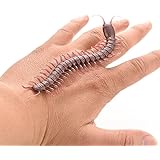 remote control centipede target