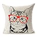 Aremetop Cute Cat Home Decor Pillowcase Lovely Ragdoll Kitten Adorable Meow Cat Wearing Glasses Throw Pillow Case Cushion Cover for Sofa Couch Bed Living Room 18 x 18 Inches-L8