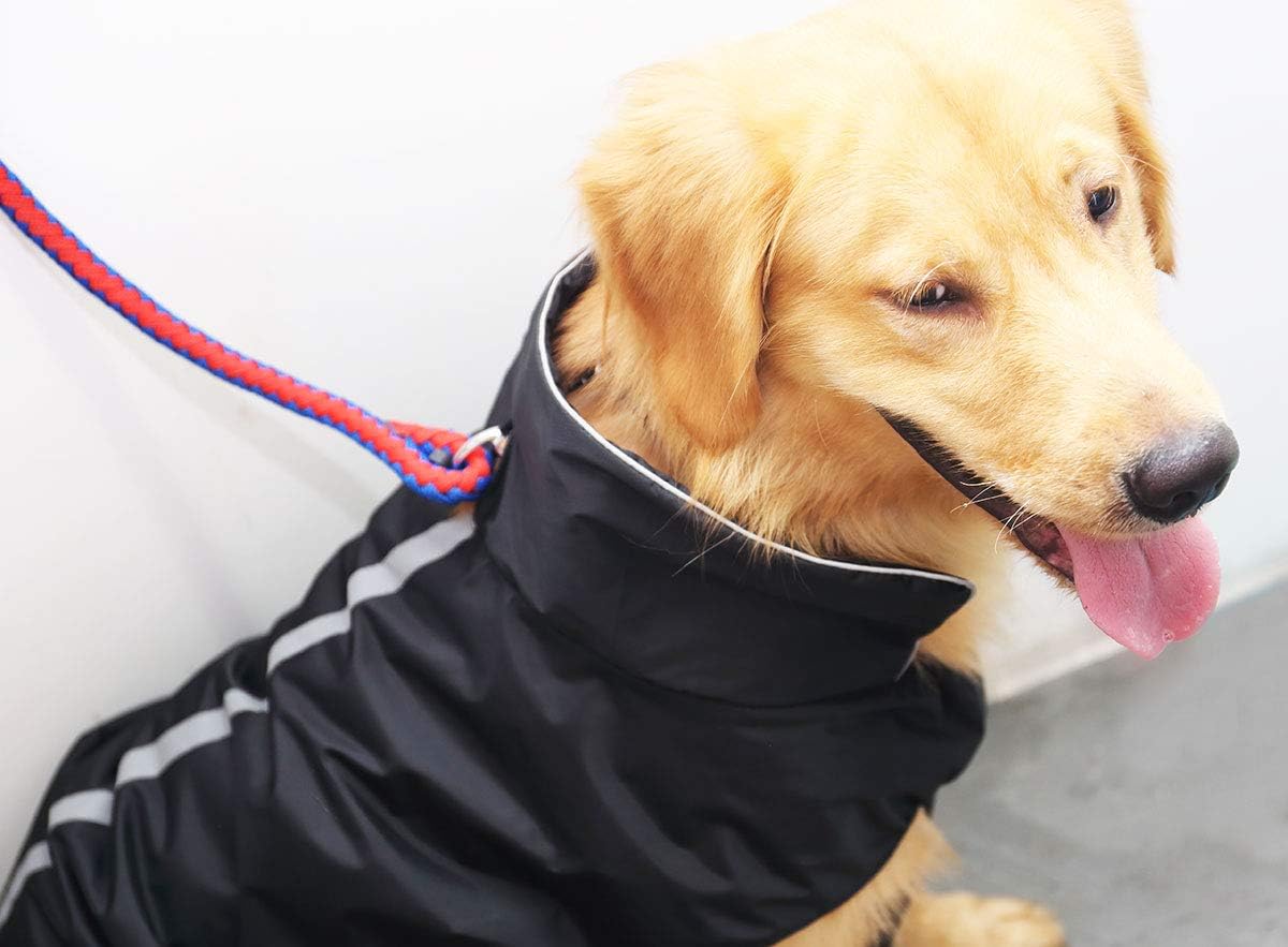 PETCEE Waterproof Dog Jacket Dog Winter Coat Dog Pet Vest for Cold Weather Dog Jacket for Medium Large Dogs with Lofty Collar-2 Layer (Black XL) : Kitchen & Dining