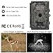 ZenNutt 1080P HD Game & Trail Hunting Camera 12 MP Low Glow Infrared Night Vision Motion Activated Wildlife Scounting Camera with 42pcs IR LEDs and 1 Year Manufacturer Warranty