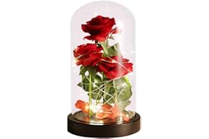 DREAM OF FLOWERS Valentines day gifts for Her Beauty and the Beast Rose, Silk Rose with LED Light and Fallen Petals a Glass Dome Wooden Base, The Best Valentine's Day gift for Your Mum Wife and Girlfriend（S1）