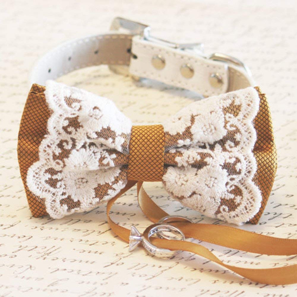 Gold Lace dog bow tie collar, Dog Ring 