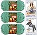 Bernat Softee Chunky Yarn Bundle Super Bulky #6, 3 Skeins Seagreen 28219