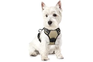 rabbitgoo Dog Harness No Pull with 2 Leash Clips, Adjustable Soft Padded, Reflective Oxford No Choke Pet Vest with Easy Control Handle for Puppy, Beige, XS