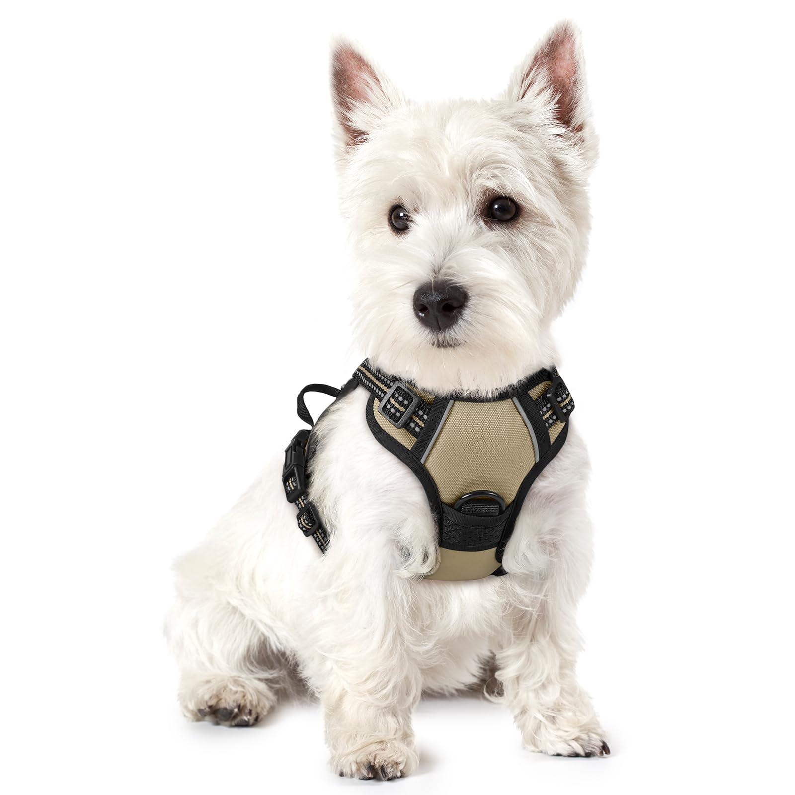 rabbitgoo Dog Harness Small Dog No Pull Pet Harness with 2 Leash Clips, Adjustable Soft Padded Pet Vest, Reflective No-Choke with Easy Control Handle for Training or Walking, Coffee, XS — image 1