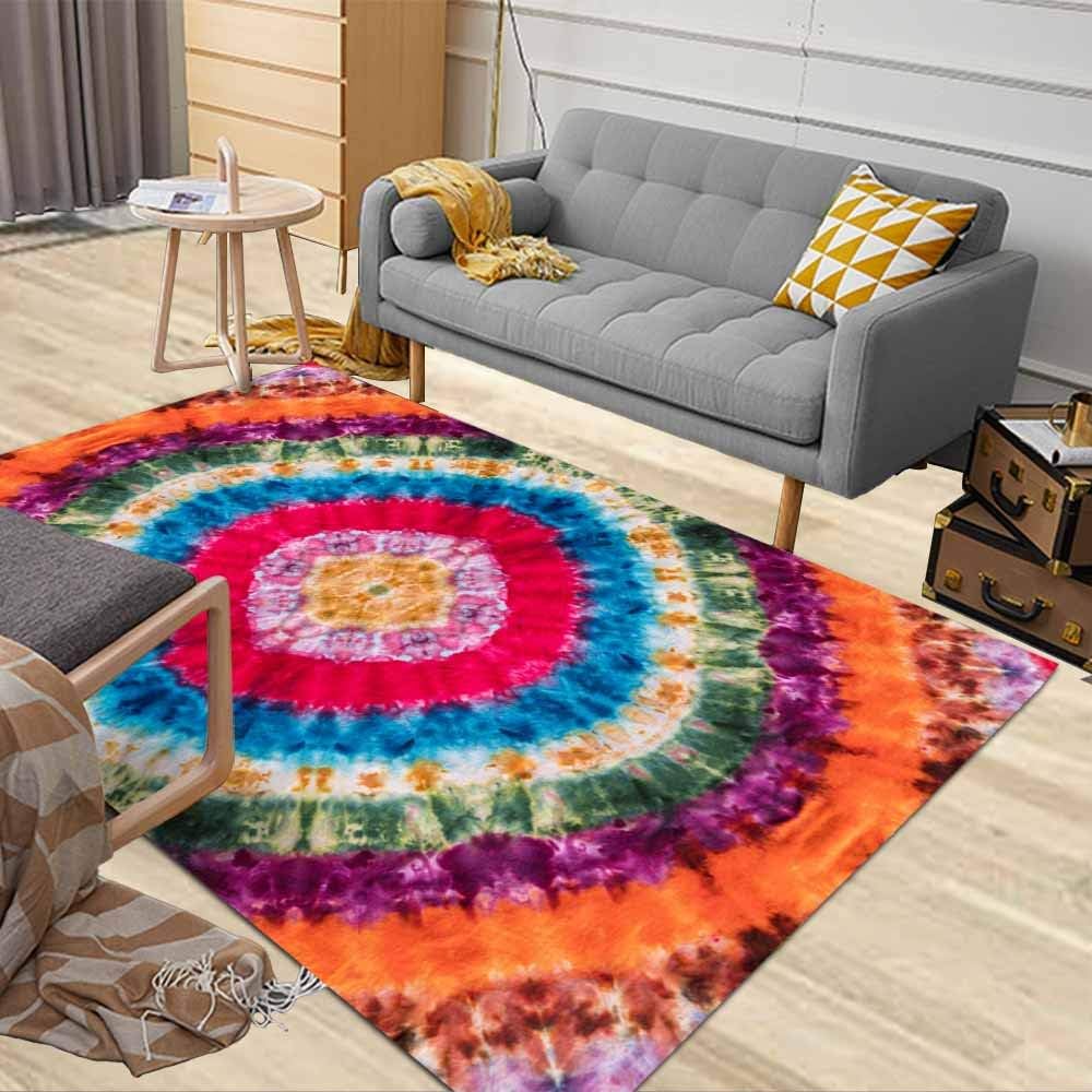 3X5 Area Rug, Dethel Soft Area Rug Colorful Area Rug Door Area Rugs Modern Colorful